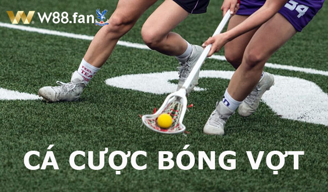 Hướng dẫn cách chơi cá cược Bóng Vợt tại nhà cái hiện nay